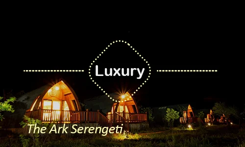 The Ark Serengeti luxury lodge Tanzania