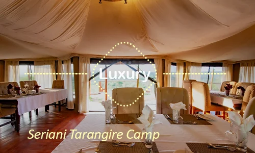 Tarangire luxury safari travel Tanzania