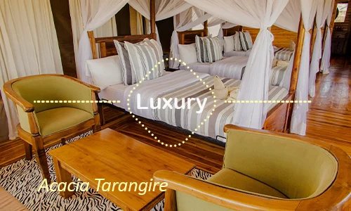 Acacia Tarangire luxury safari camp - Premium Tarangire experience