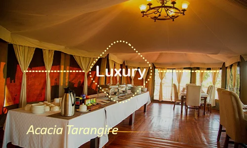 Acacia Tarangire - Family Safari Suite