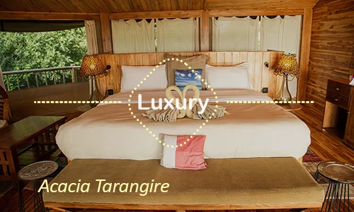 Tarangire luxury safari travel Tanzania