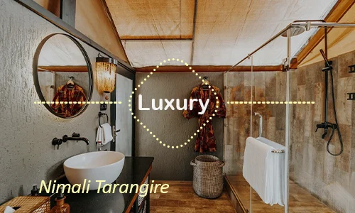 Tarangire luxury safari travel Tanzania
