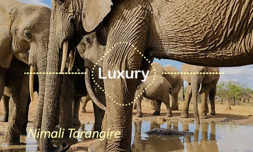 Tarangire luxury safari travel Tanzania