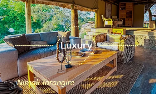 Tarangire luxury safari travel Tanzania
