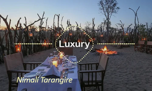 Tarangire luxury safari travel Tanzania