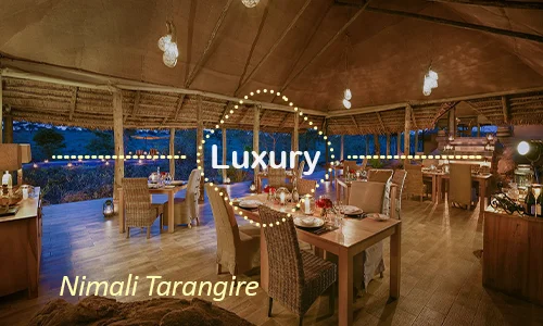Tarangire luxury safari travel Tanzania