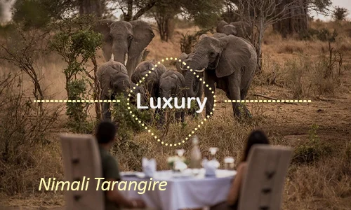 Luxury safari Tanzania - Tarangire