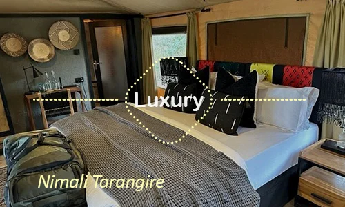 Tarangire luxury safari travel Tanzania