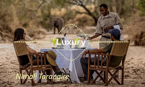 Tarangire luxury safari travel Tanzania