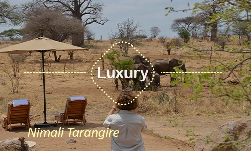 Tarangire luxury safari travel Tanzania