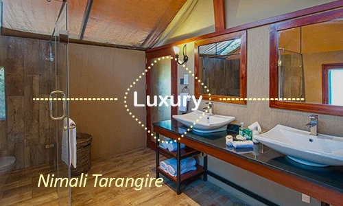 Tarangire luxury safari travel Tanzania