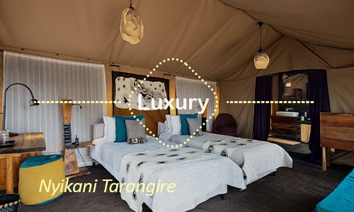 Luxury safari Tanzania - Tarangire camp