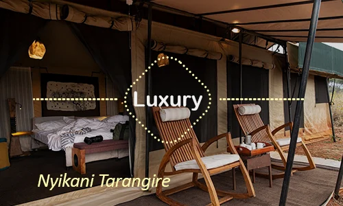Tarangire luxury safari travel Tanzania