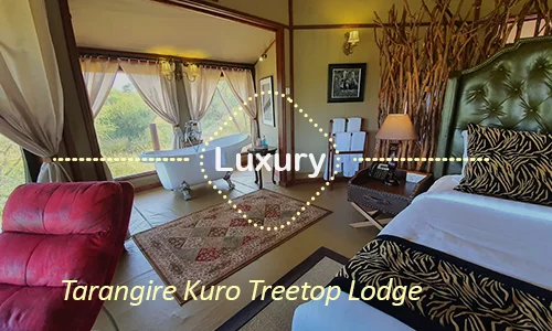 Tarangire Kuro Treetop Lodge luxury treetop suites