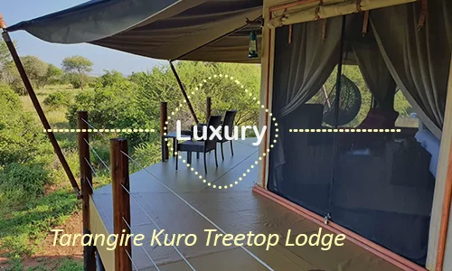 Luxury safari Tanzania - Tarangire treetop