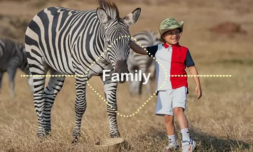 Luxury Family Safari