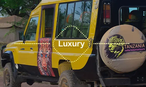 12 Days Great Migration Luxury Safari Tanzania