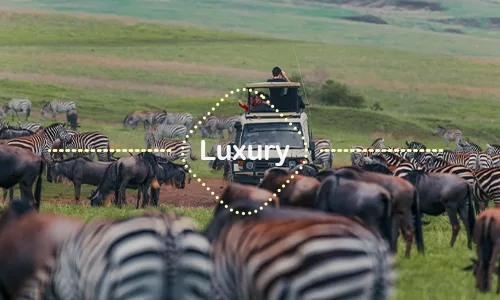 14 Days Tanzania & Zanzibar Exclusive Safari