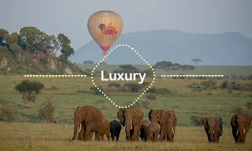 16 Days Hot-Air Balloon Family Safari Tanzania