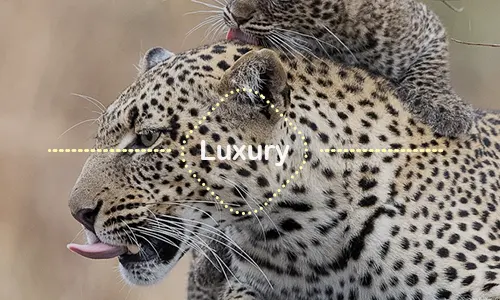 3 Days Serengeti Family Safari