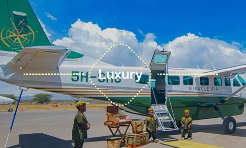 4 Days Fly-in and Fly-out Safari Serengeti