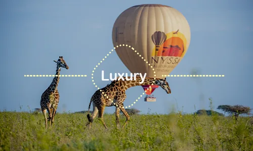 6 Days Serengeti Balloon Safari - Luxury