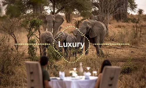 9 Days Signature Honeymoon Safari