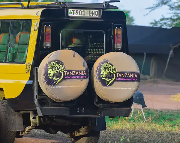 Solo traveler enjoying a private luxury safari in Tanzania